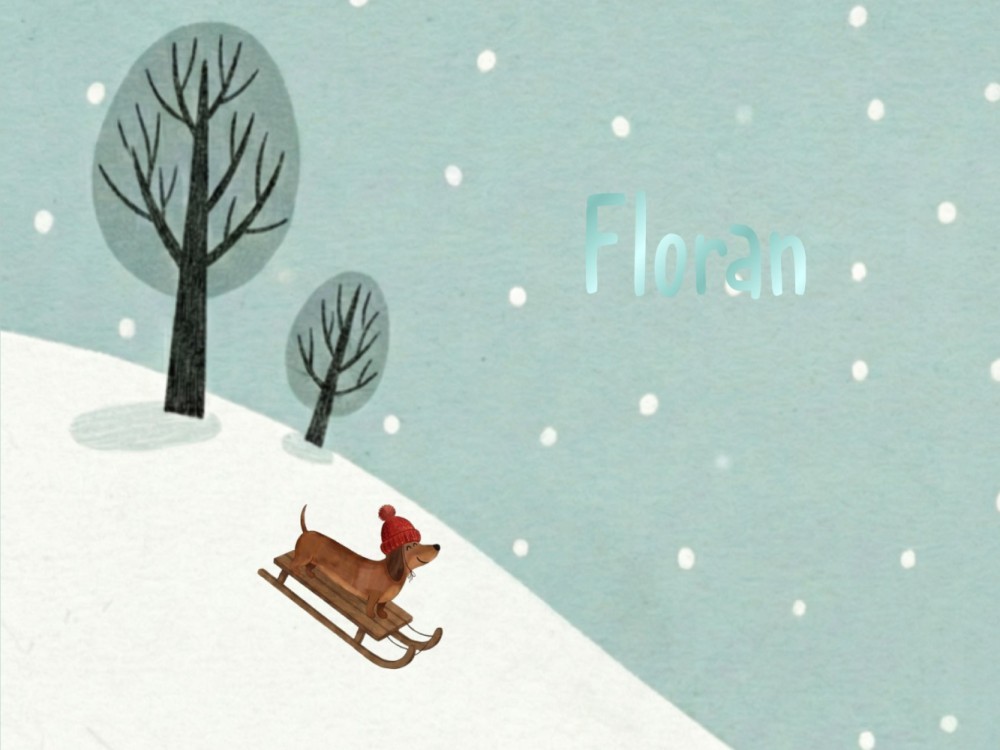 Avontuurlijk minimalistisch geboortekaartje met bergen en skiënd capibara