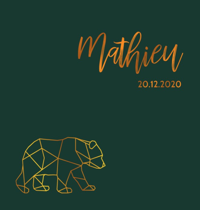 Gevouwen geboortekaartje jongen met geometrische beer