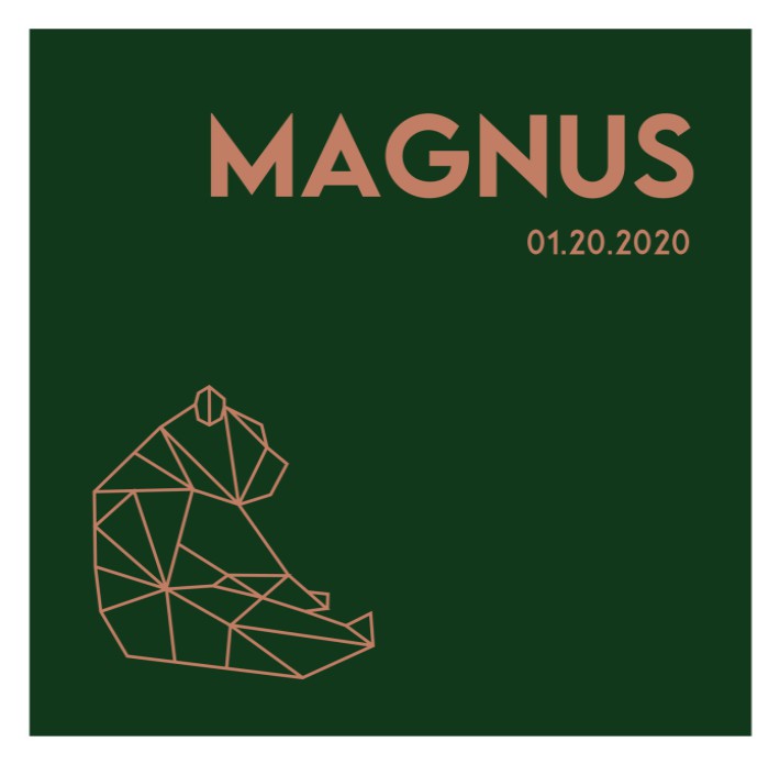 Geboortekaartje jongen met geometrische beer