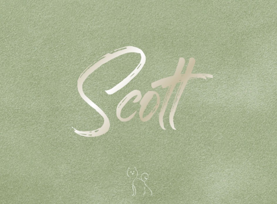 Geboortekaartje op oudgroen velvet met hondje in blinddruk