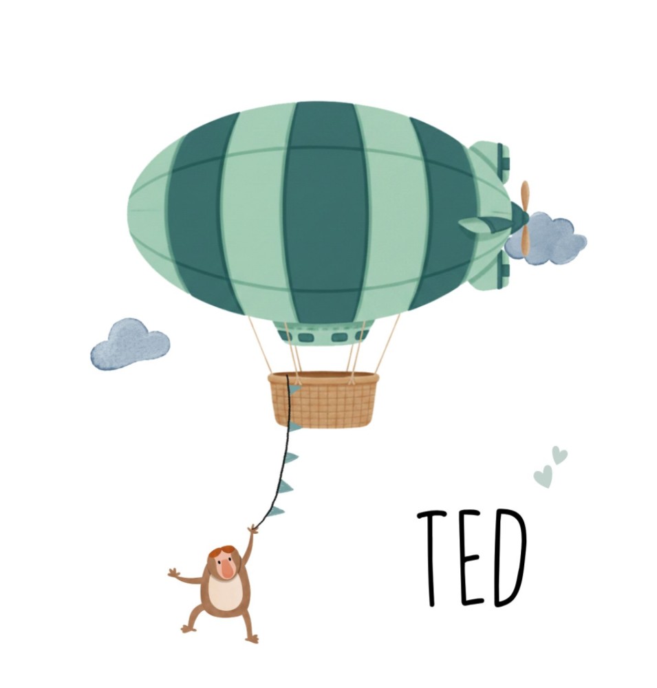 Getekend geboortekaartje met zappelin ballon, dieren en slinger