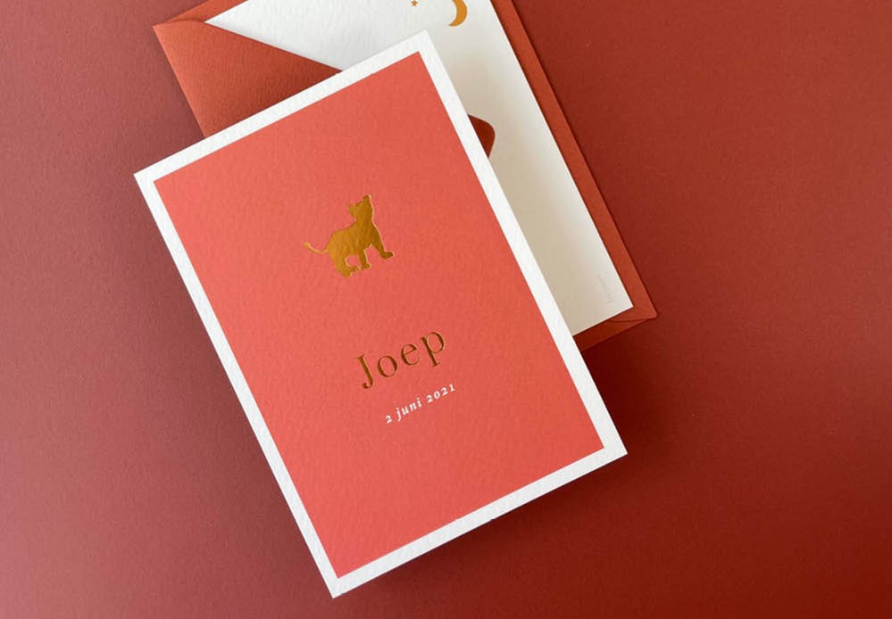 Strak geboortekaartje terra met leeuwtje