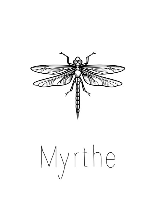 Letterpress geboortekaart meisje zwart libelle