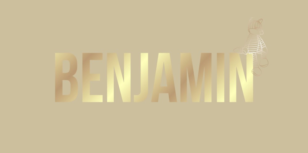 Modern geboortekaartje met vosjes knuffel en goudfollie