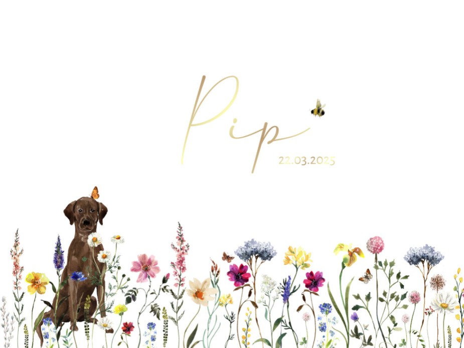Speels geboortekaartje meisje met bloemenveld en hond
