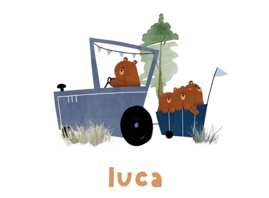 Speels geboortekaartje met illustratie van tractor grote broers