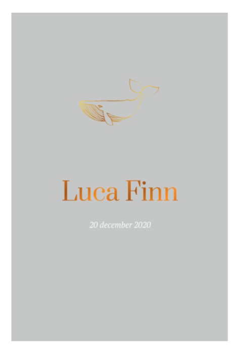 Stoer dubbel geboortekaartje grijs met walvis foliedruk