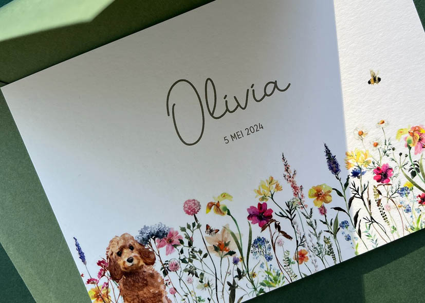 Olivia is gedrukt de druktechniek print op papier Multiloft 